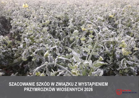 Szacowanie szkód w związku z wystąpieniem przymrozków wiosennych 2026